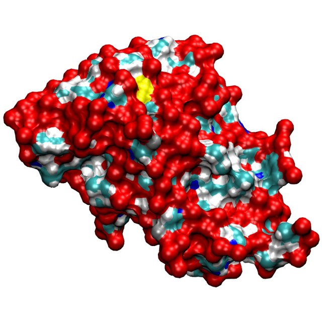 1mso_human_insulin